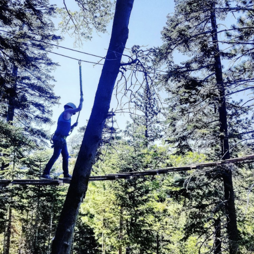 High Ropes Course