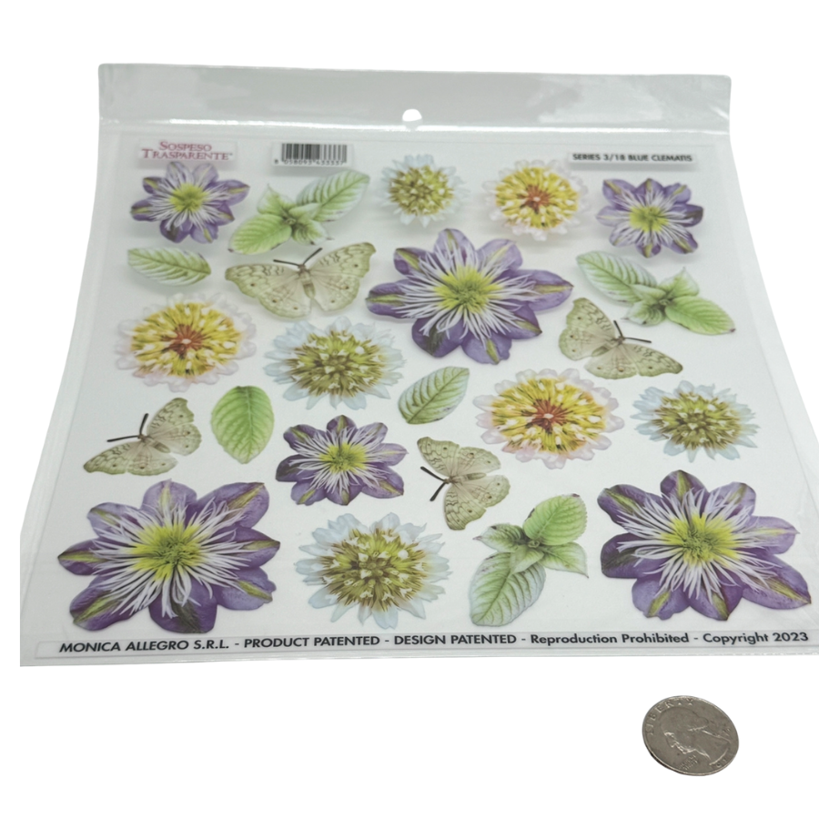 Blue Clematis