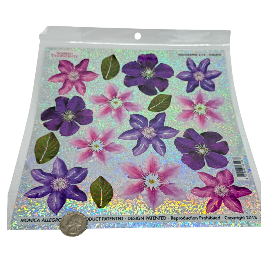 Holographic Clematis