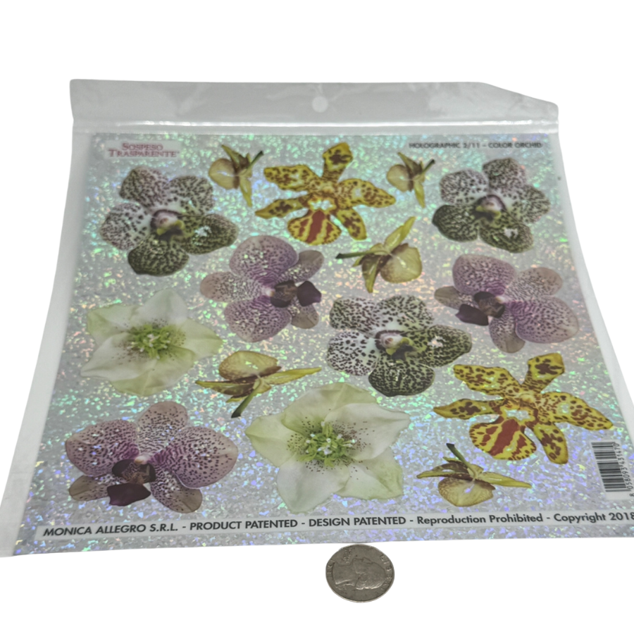 Holographic Orchid 2/11