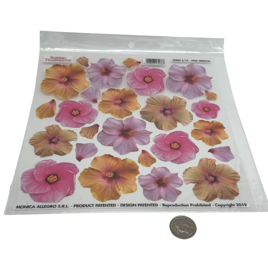 Hibiscus Pink