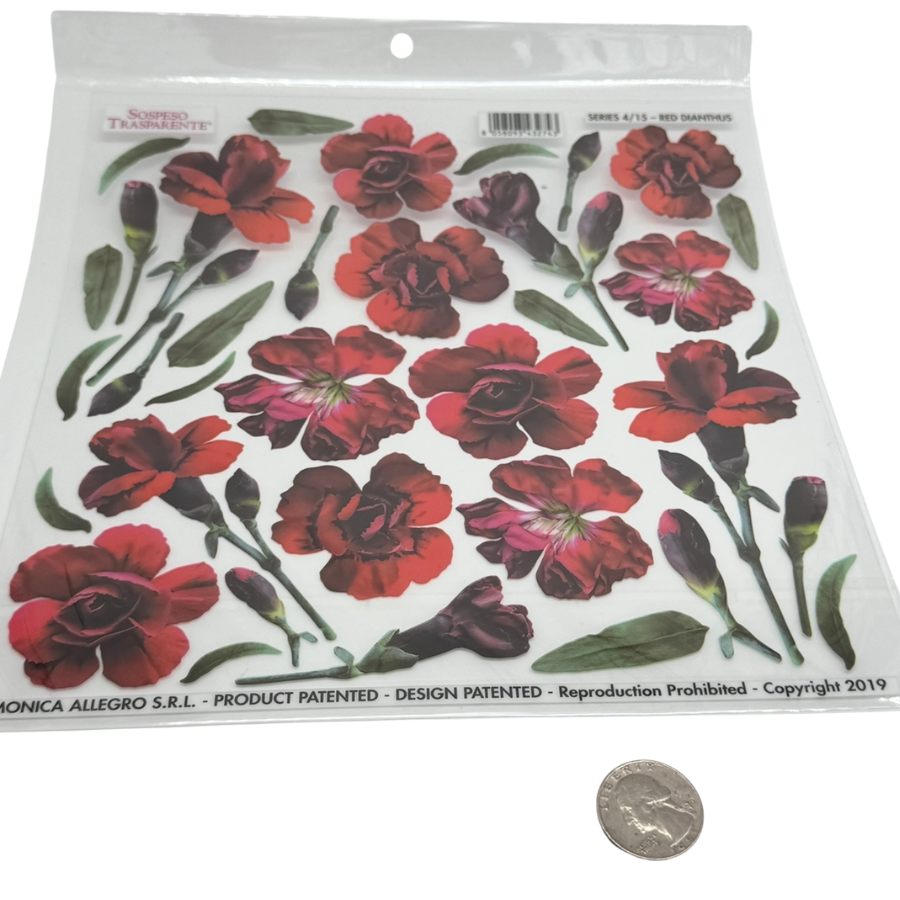 Red Dianthus