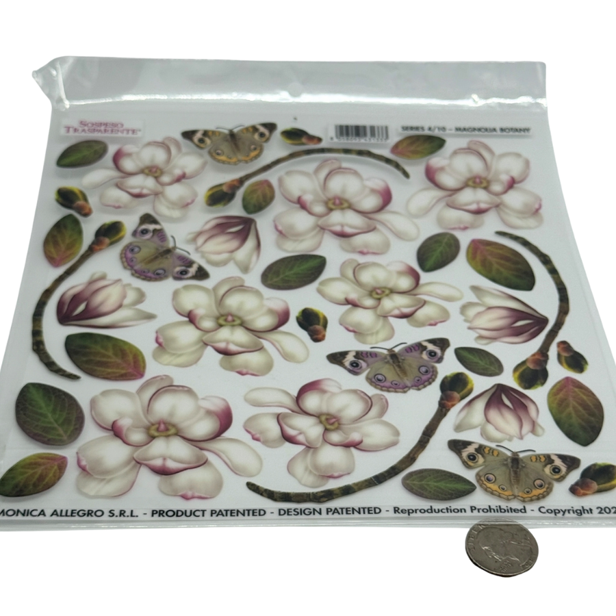 Magnolia Botany