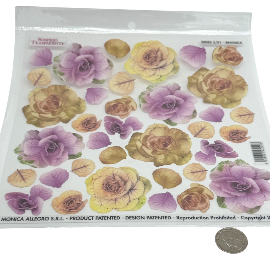 Garden Rose Brassica