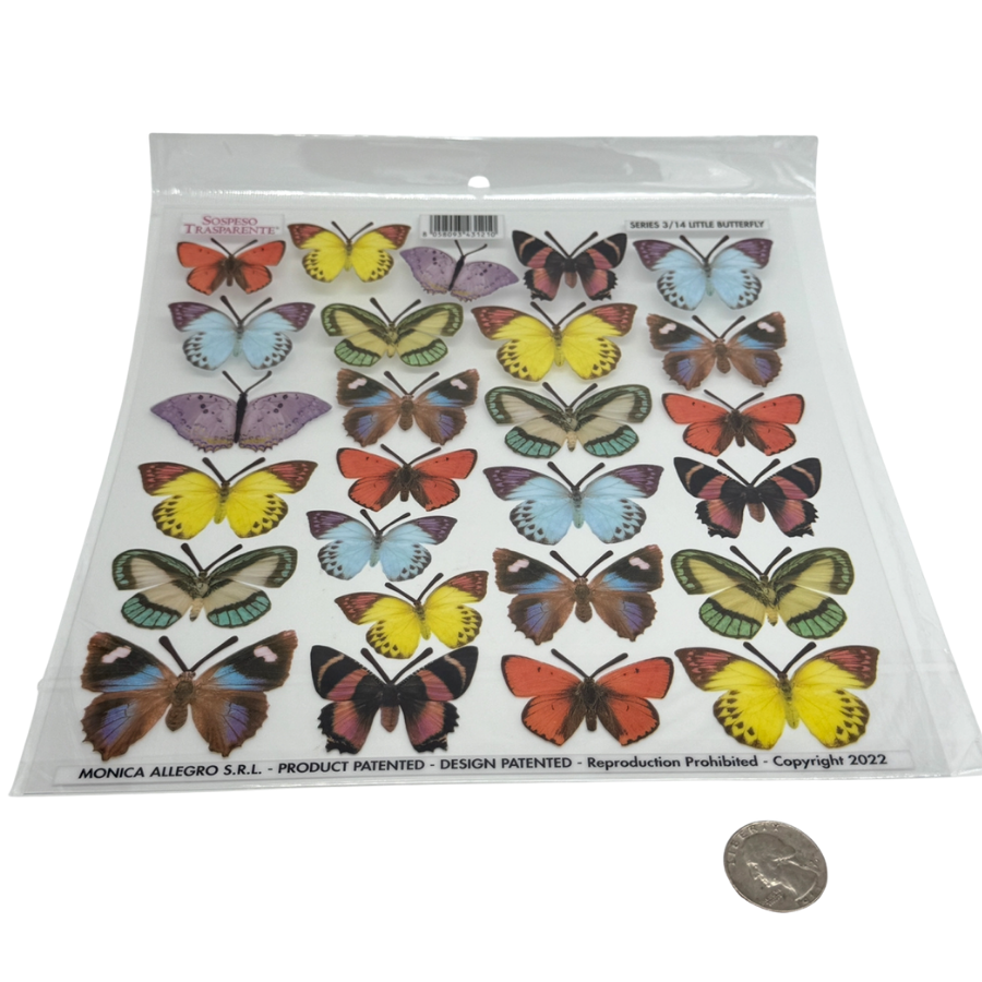 Butterfly Multi Little 3/14