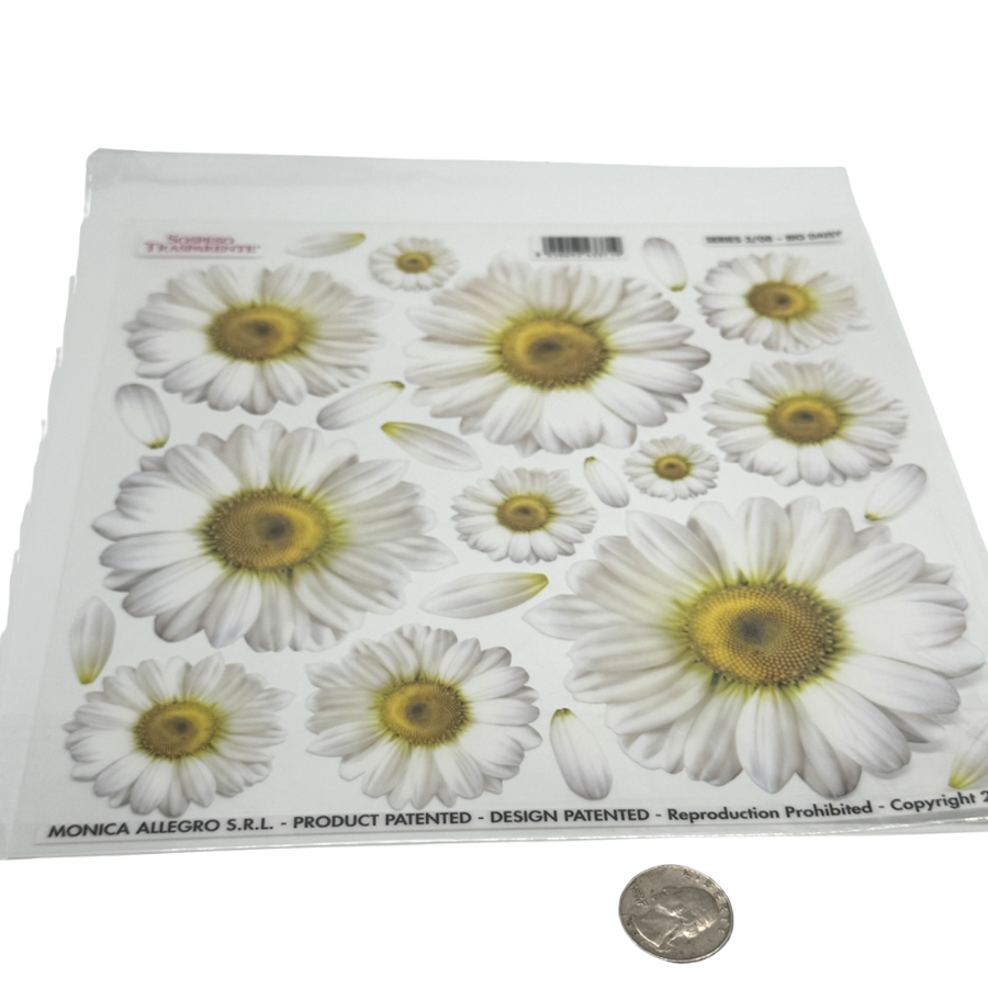 White Daisy Large