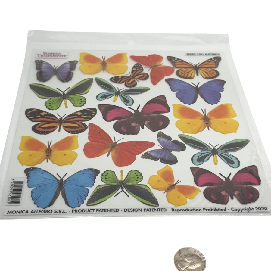 Butterfly 3/01