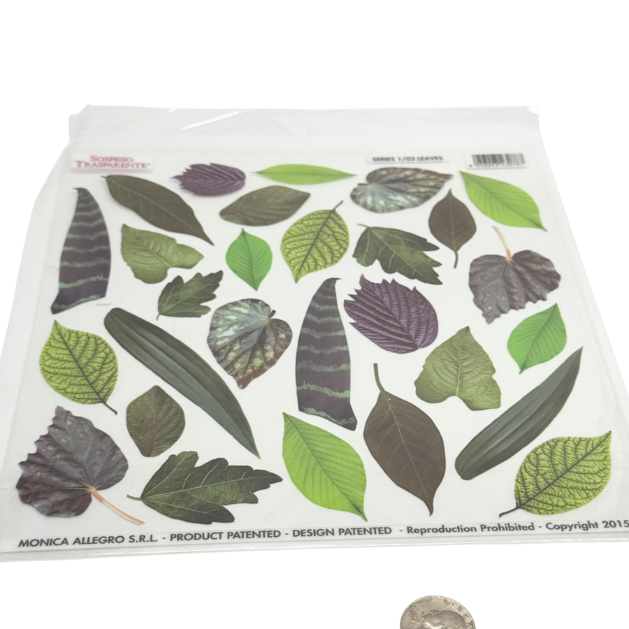 Leaves