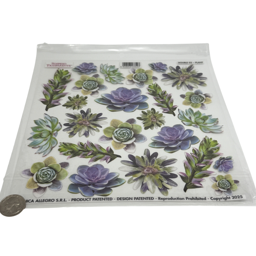 Succulents
