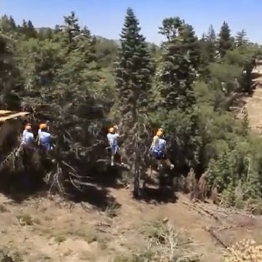 Dual Racer Zip Lining