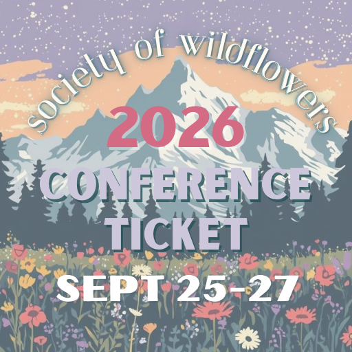 2026 ALL INCLUSIVE CONFERENCE TICKET