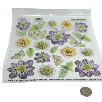 Blue Clematis
