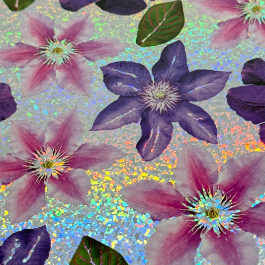 Holographic Clematis