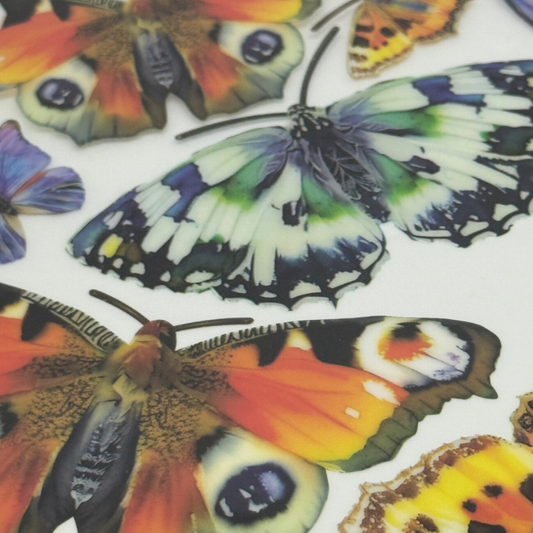 Butterfly Large Jewel  6/11