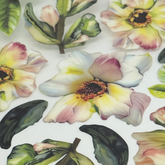 Magnolia Watercolor