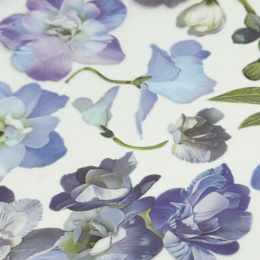 Blue Flower Vine