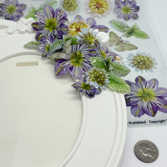 Blue Clematis