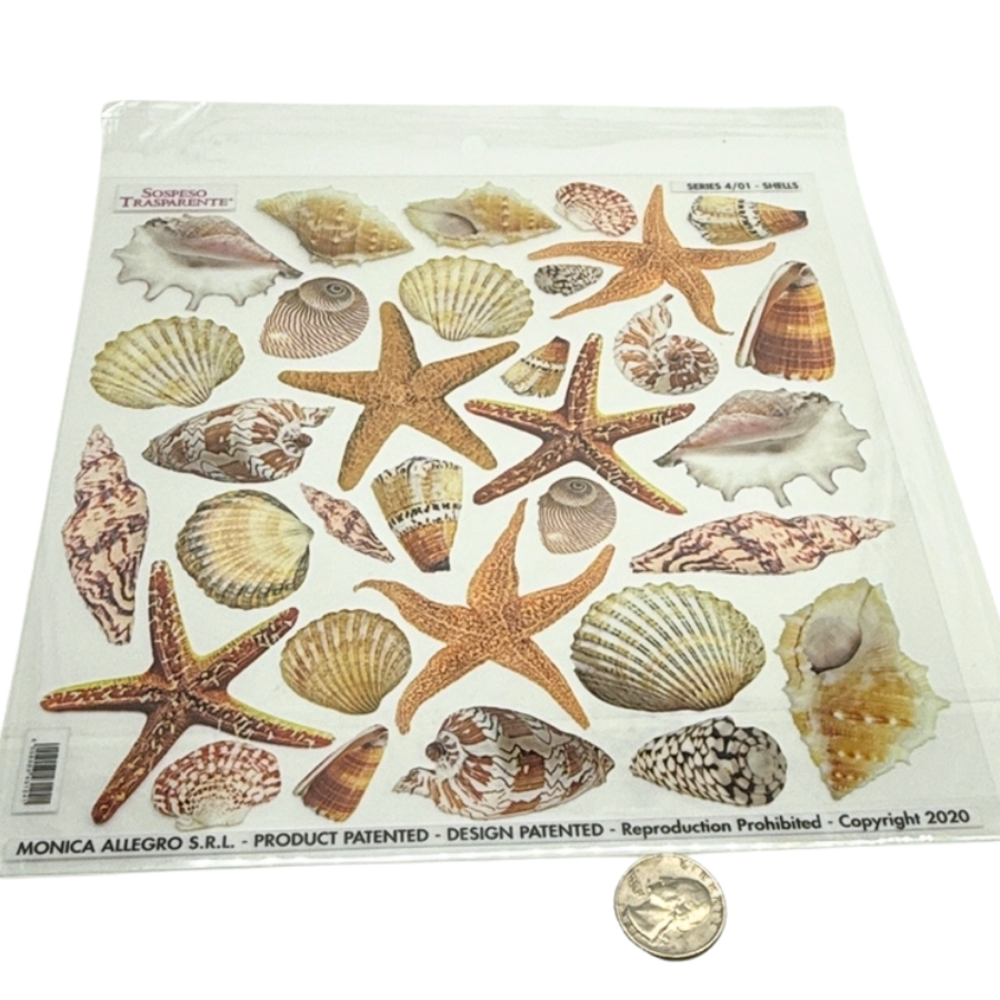 Sea Shells