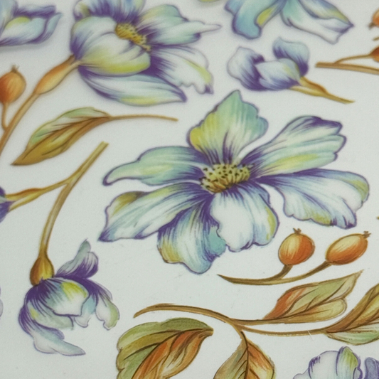 Blue Rosa Virgo