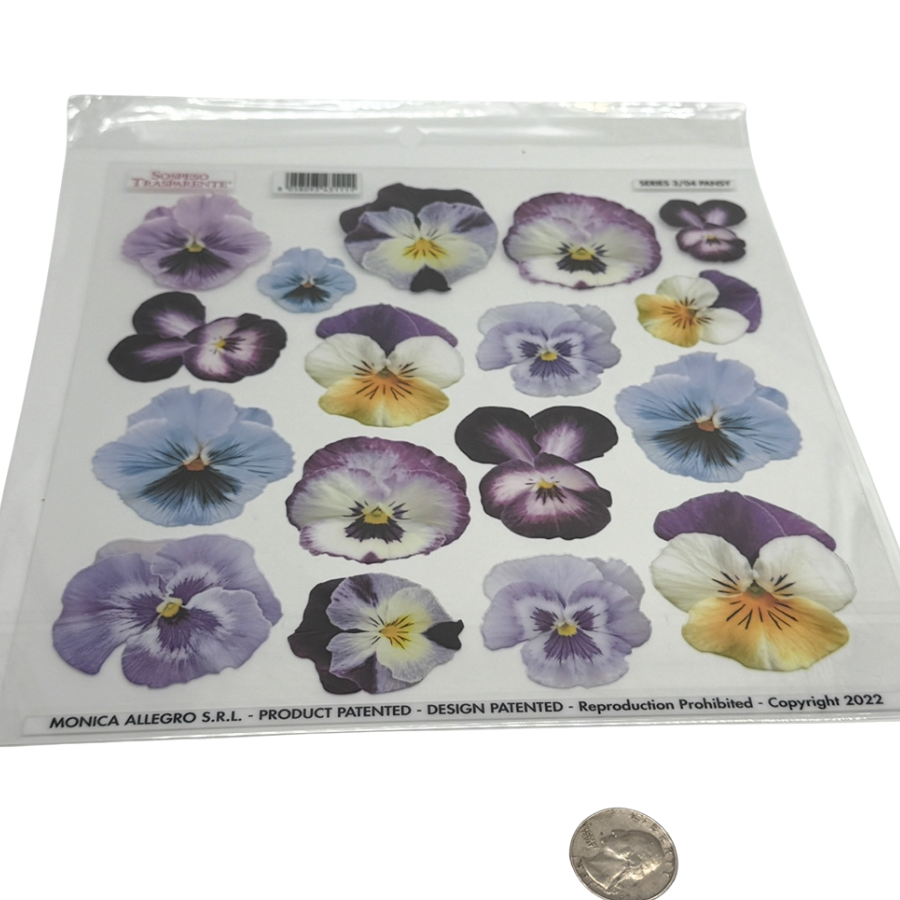 Pansy Purple