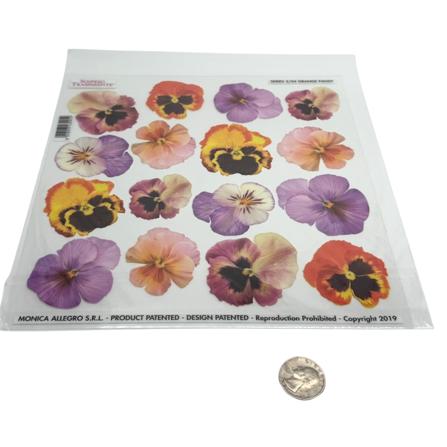 Pansy Orange