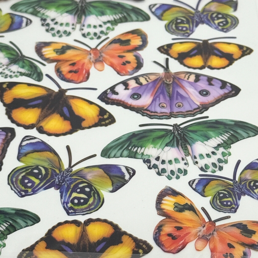 Butterfly Jewel 01