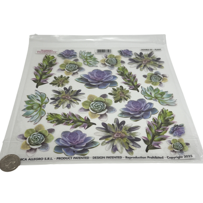 Succulents